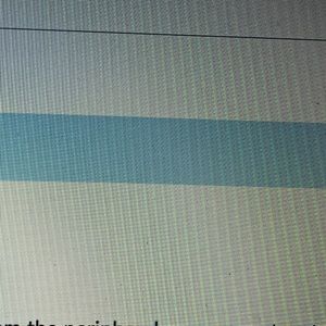 Meet your Posher, Max